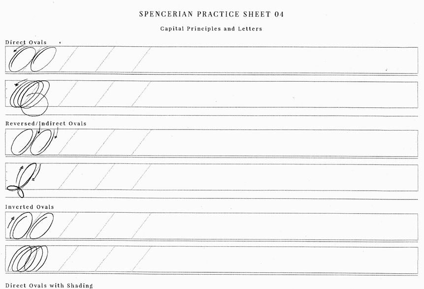 Spencerian Calligraphy Beginner set